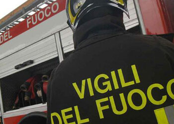 FURGONE INVESTE E UCCIDE TRE CAVALLI SULLA FONDOVALLE VERRINO