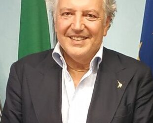 ACEM ANCE INCONTRA L’ASSESSORE MARONE