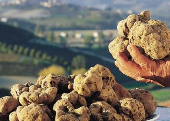 SAN PIETRO AVELLANA CELEBRA IL TARTUFO