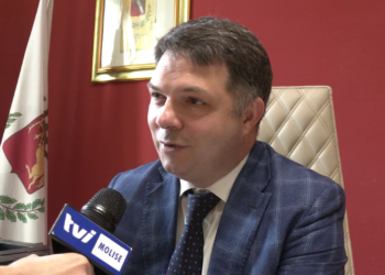 SAIA: VOCE ALLE AREE INTERNE