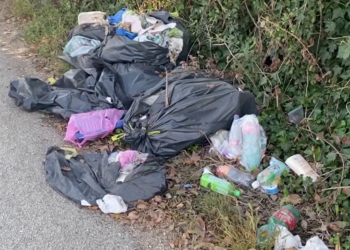 RICCI: “MULTE PIU’ SALATE PER CHI SPORCA”