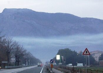 WWF MOLISE: “LA QUALITA’ DELL’ARIA NELLA PIANA DI VENAFRO E’ PREOCCUPANTE”