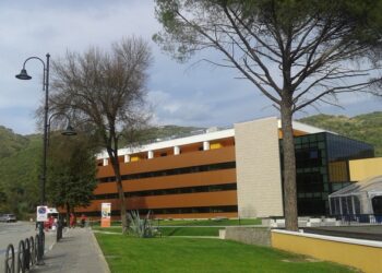 “TURISMO SANITARIO”,META IL NEUROMED