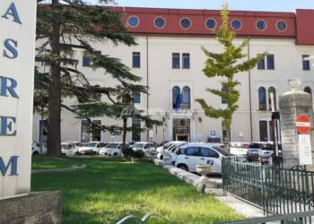 CINQUE NUOVI SPECIALISTI IN PEDIATRIA IN MOLISE