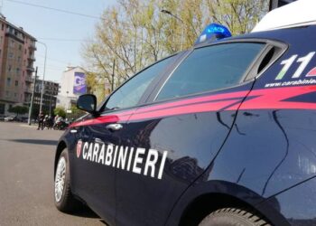 ROTELLO: RUBATI MEZZI AGRICOLI, INDAGANO I  CARABINIERI