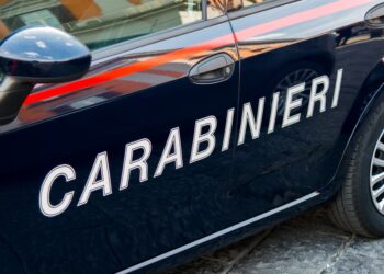 TENTA DI LANCIARSI DA UN VIADOTTO, DONNA SALVATA DAI CARABINIERI