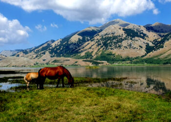ENTRO 6 MESI NASCERÀ IL PARCO DEL MATESE