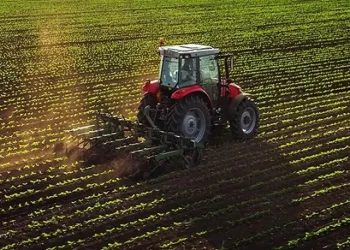 COLDIRETTI MOLISE: L’AGRICOLTURA INCARNA IL FUTURO DEL NOSTRO PAESE