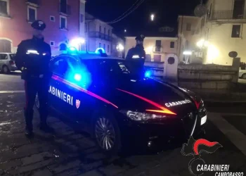 BOJANO: OPERAZIONE DEI CARABINIERI “ALTO IMPATTO”