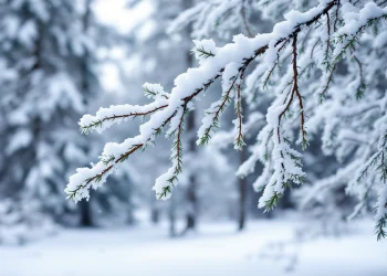 MOLISE: NEL WEEKEND IN ARRIVO FREDDO E NEVE ANCHE A BASSA QUOTA