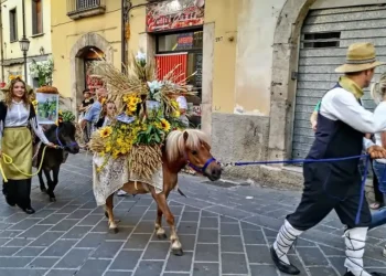 A ISERNIA LA FESTA IN ONORE DI SANT’ANTONIO
