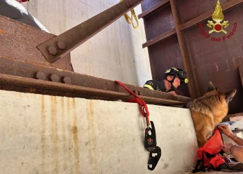 PESCOLANCIANO, CANE CADE IN UN’INTERCAPEDINE DI UN PONTE: SALVATO DAI VIGILI DEL FUOCO