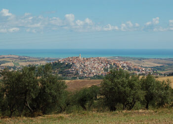 TORNA A MONTENERO DI BISACCIA “UN ALBERO PER OGNI NATO”