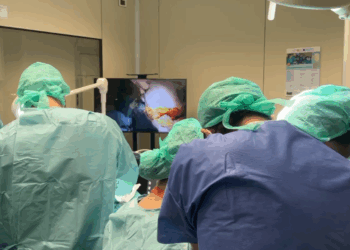 ANATOMIA PER OTORINOLARINGOIATRI