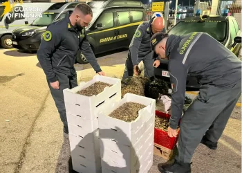 TERMOLI, SEQUESTRATE OLTRE 1,8 TONNELLATE DI PESCE. MULTE PER OLTRE 200MILA EURO