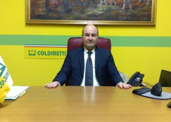 POLITICA AGRICOLA COMUNE, COLDIRETTI MOLISE: “PRIMA SODDISFAZIONE PER LE AZIENDE AGRICOLE”