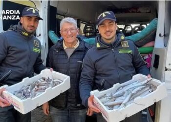 TERMOLI: GDF SEQUESTRA 130 CHILI DI PRODOTTI ITTICI