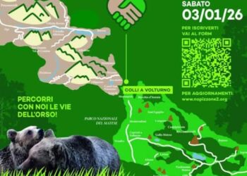 WWF ITALIA ADERISCE ALLA MOBILITAZIONE CONTRO LA CENTRALE PIZZONE II