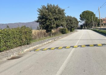 RALLENTATORI SUL LUNGO RAVA