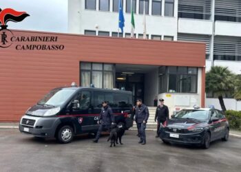 CONTROLLI ANTIDROGA ALL’ALBERGHIERO DI TERMOLI