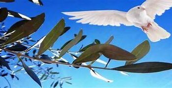 DOMENICA DELLE PALME TRA FEDE E PACE