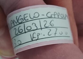 FIOCCO ROSA IN CASA PETRANGELO: E’ NATA LA PICCOLA LUCE NEMESI