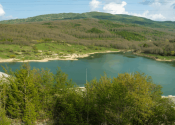 NELL’OASI, ALLA SCOPERTA DELLE ORCHIDEE