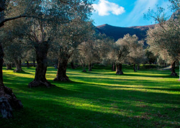 PIÙ RISORSE PER IL PARCO
