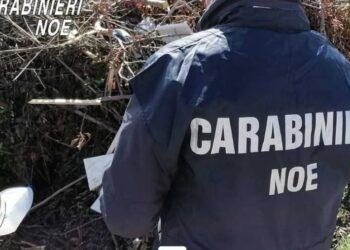 REATI AMBIENTALI, AZIENDA MOLISANA SANZIONATA DAL NOE CON MULTA DA 20MILA EURO