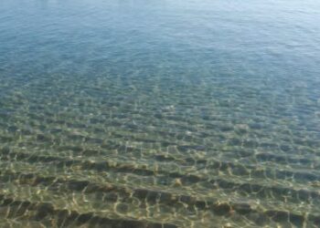 DIVIETO TEMPORANEO DI BALNEAZIONE A CAMPOMARINO LIDO
