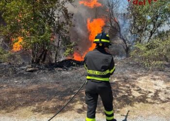 INCENDIO BOSCHIVO A MACCHIA D’ISERNIA: VIGILI DEL FUOCO IN AZIONE