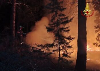 VASTO INCENDIO NELLE CAMPAGNE DI GAMBATESA: NOTTE DI LAVORO PER I VIGILI DEL FUOCO