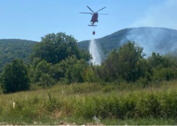INCENDIO SULLA TRIGNINA: VIGILI DEL FUOCO IN AZIONE