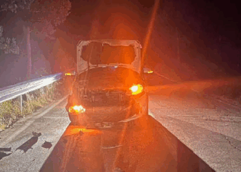 AUTO CONTRO UN CINGHIALE SULLA PROVINCIALE 80