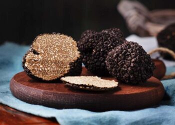 IN MIGLIAIA ALLA FESTA DEL TARTUFO