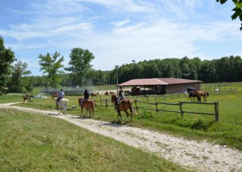 IL FAR WEST A STAFFOLI