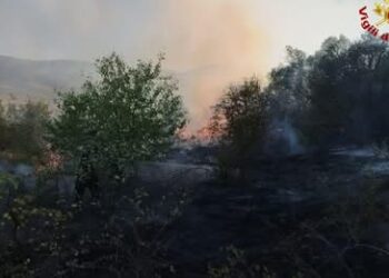 INCENDIO TRA CAMPOBASSO E ORATINO, IN CONTRADA COLLE LUNGO