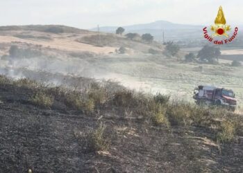 FIAMME A DUE PASSI DA UN’AZIENDA AGRICOLA: INTERVENGONO I VIGILI DEL FUOCO