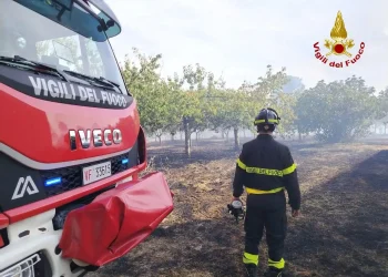 INCENDIO A CAMPOBASSO, FIAMME VICINO ALLE ABITAZIONI
