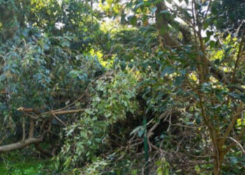 DEGRADO ALLA VILLA COMUNALE DI VENAFRO, LA RABBIA DEI CITTADINI