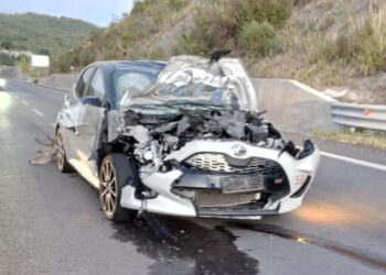 FORLÌ DEL SANNIO, AUTO SI SCONTRA CON UN CERVO: FERITO IL CONDUCENTE