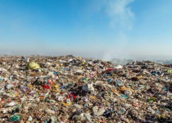 ECOMAFIE, IN MOLISE COMMESSI 341 REATI AMBIENTALI NEL 2025