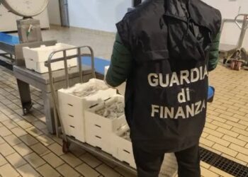 SEQUESTRATI OLTRE 100 CHILI DI PESCE SENZA TRACCIABILITA’: DONATI IN BENEFICENZA