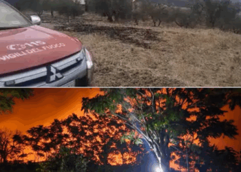 INCENDI A GUARDIALFIERA E SULLA SP78: IN AZIONE VIGILI DEL FUCO E CANADAIR